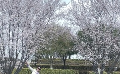 强开女学生的小嫩苞